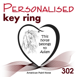 302 - American Paint
