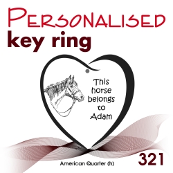 321 - American Quarter