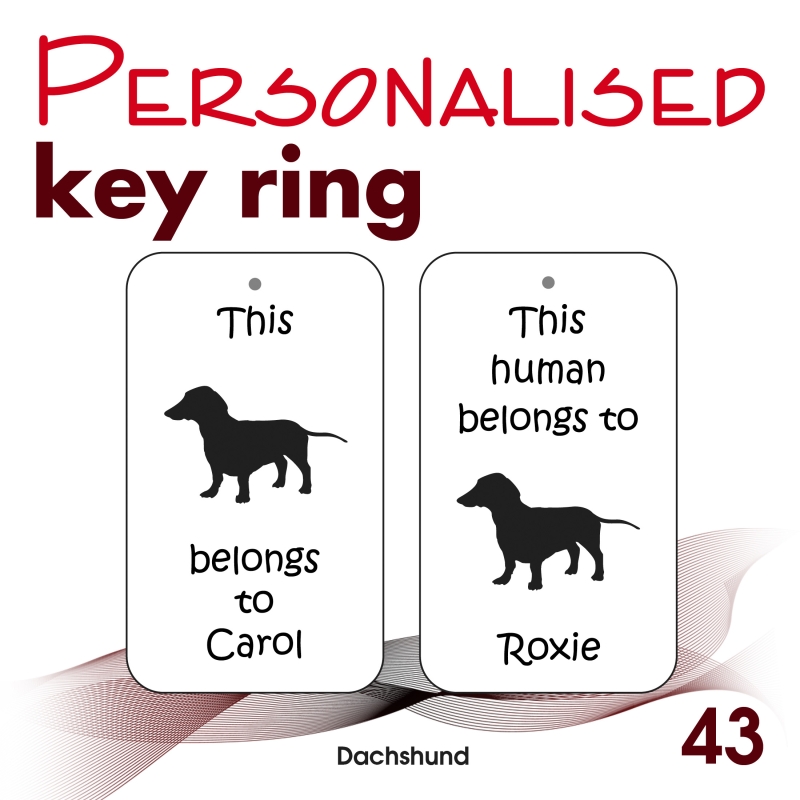 043 - Dachshund