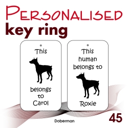 045 - Doberman