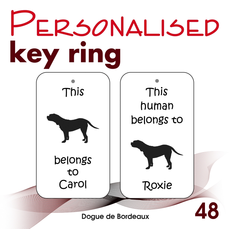 048 - Dogue de Bordeaux