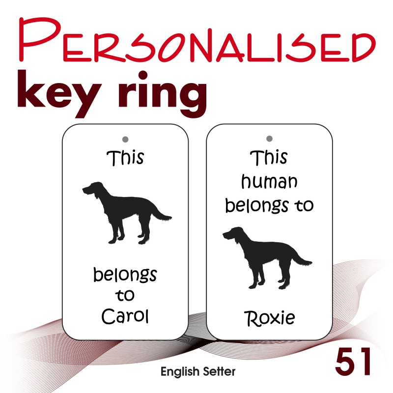 051 - English Setter