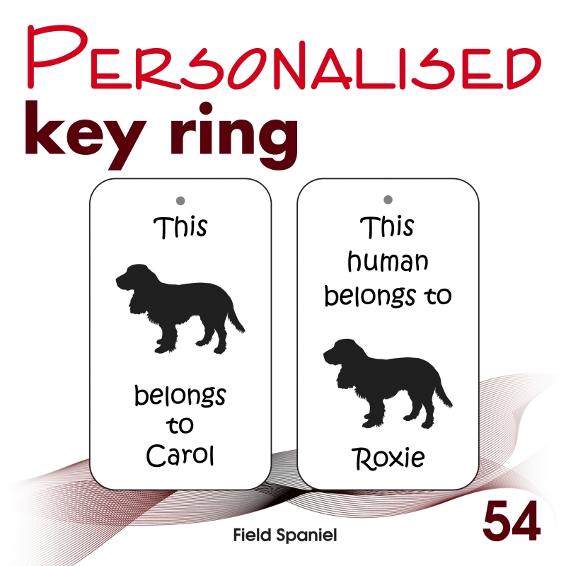 054 - Field Spaniel