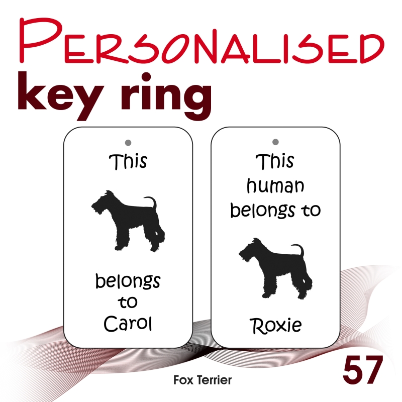 057 - Fox Terrier