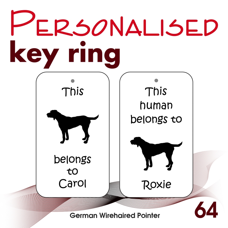 064 - German Wirehaired Pointer