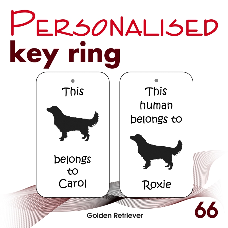 066 - Golden Retriever