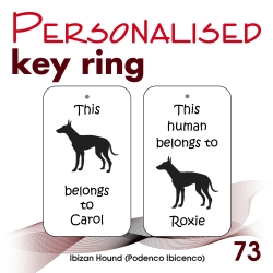 073 - Ibizan Hound (Podenco...