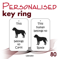 080 - Labrador