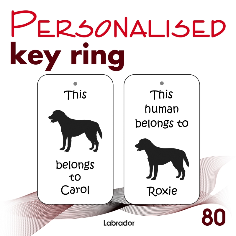 080 - Labrador