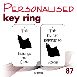 087 - Maltese