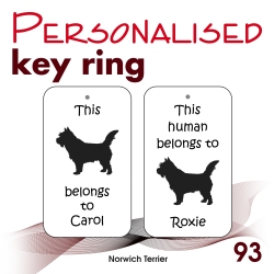 093 - Norwich Terrier