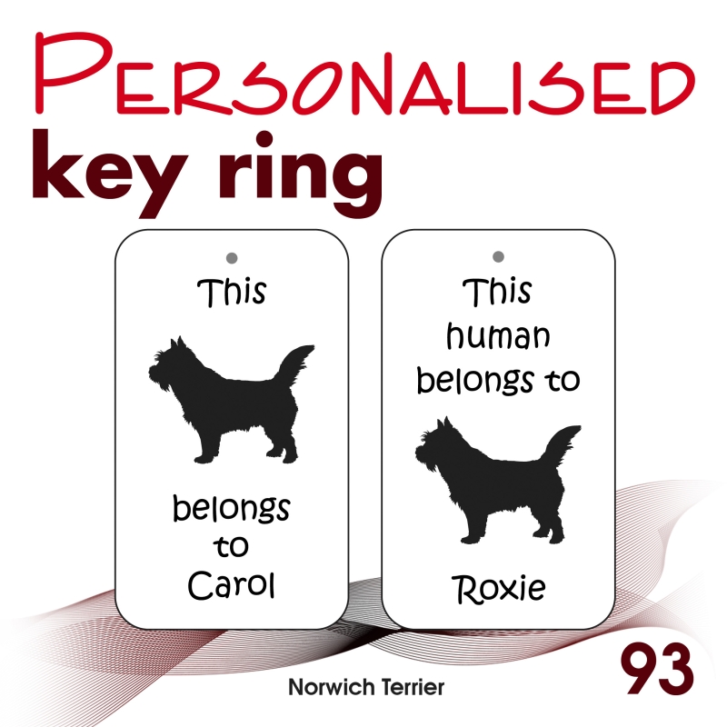 093 - Norwich Terrier