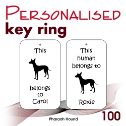 100 - Pharaoh Hound