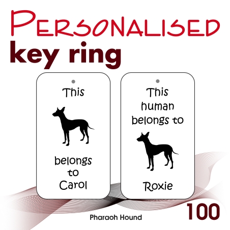 100 - Pharaoh Hound