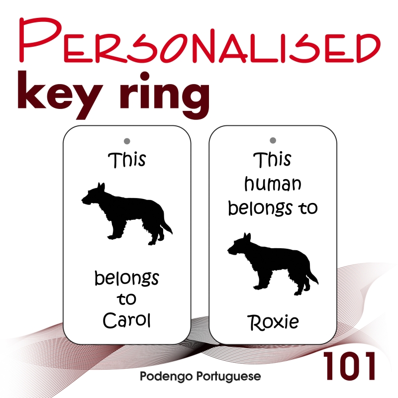 101 - Podengo Portuguese
