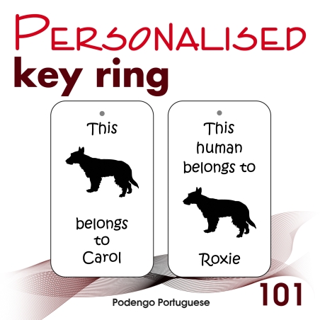 101 - Podengo Portuguese