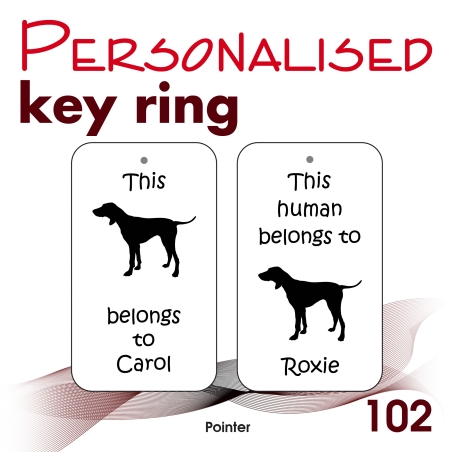 102 - Pointer