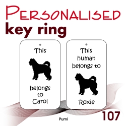 107 - Pumi