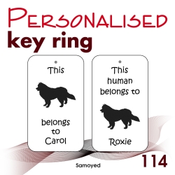 114 - Samoyed