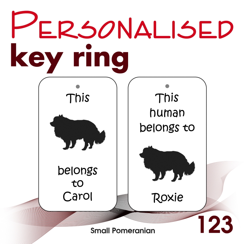 123 - Small Pomeranian