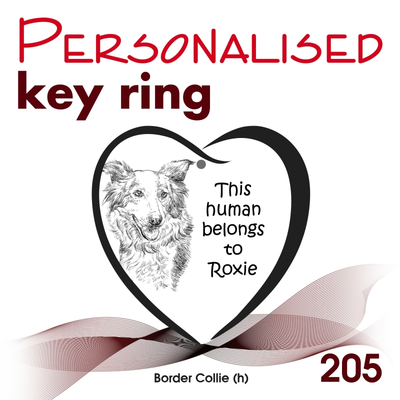 205 - Border Collie (h)