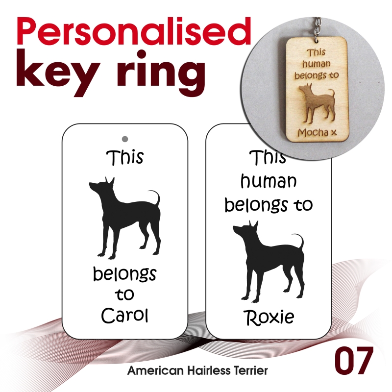 007 - American Hairless Terrier