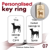 007 - American Hairless Terrier