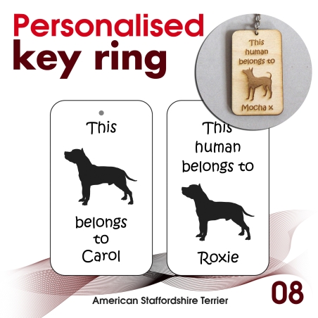 008 - American Staffordshire Terrier