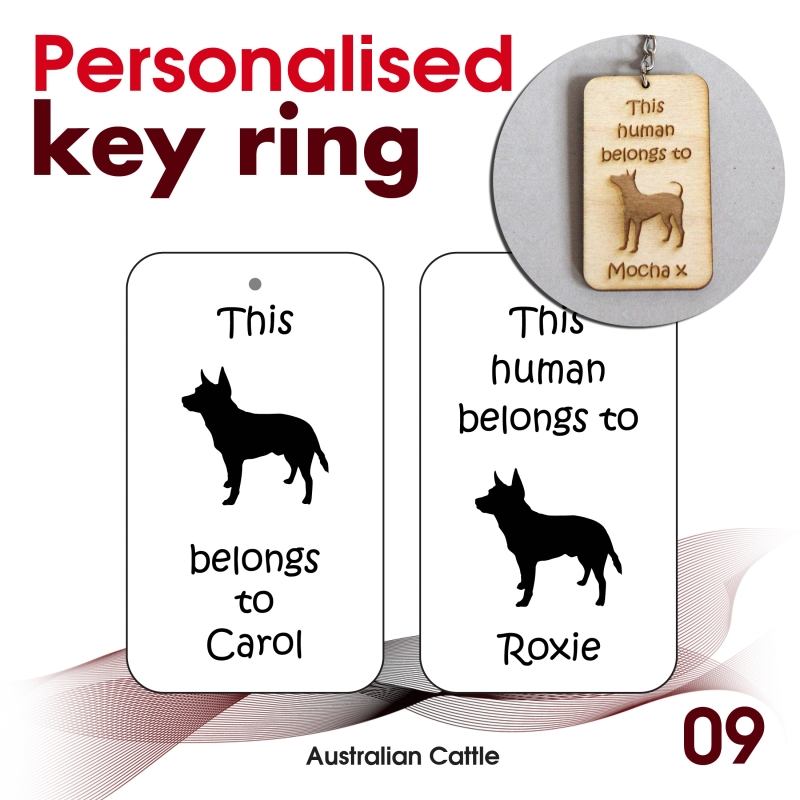 009 - Australian Cattle