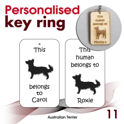 011 - Australian Terrier