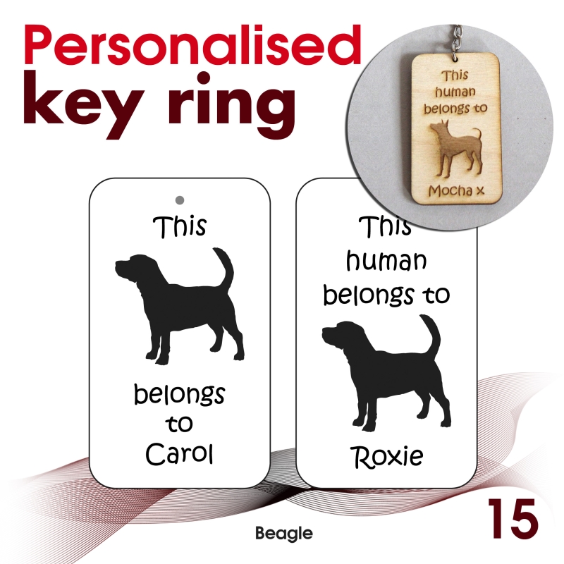 015 - Beagle