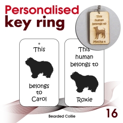 016 - Bearded Collie