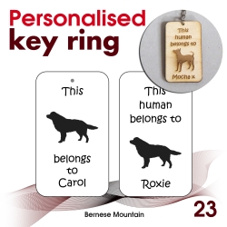 023 - Bernese Mountain