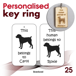 025 - Boerboel