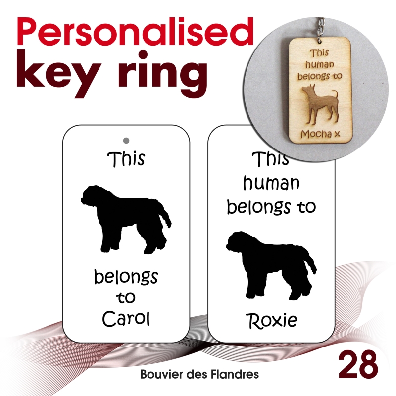 028 - Bouvier des Flandres
