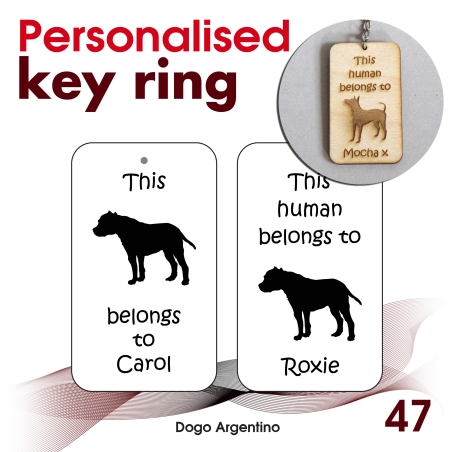 047 - Dogo Argentino