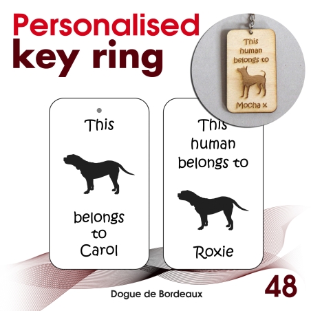 048 - Dogue de Bordeaux