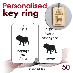 050 - English Bulldog