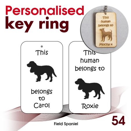 054 - Field Spaniel