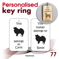 077 - Keeshond