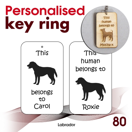 080 - Labrador