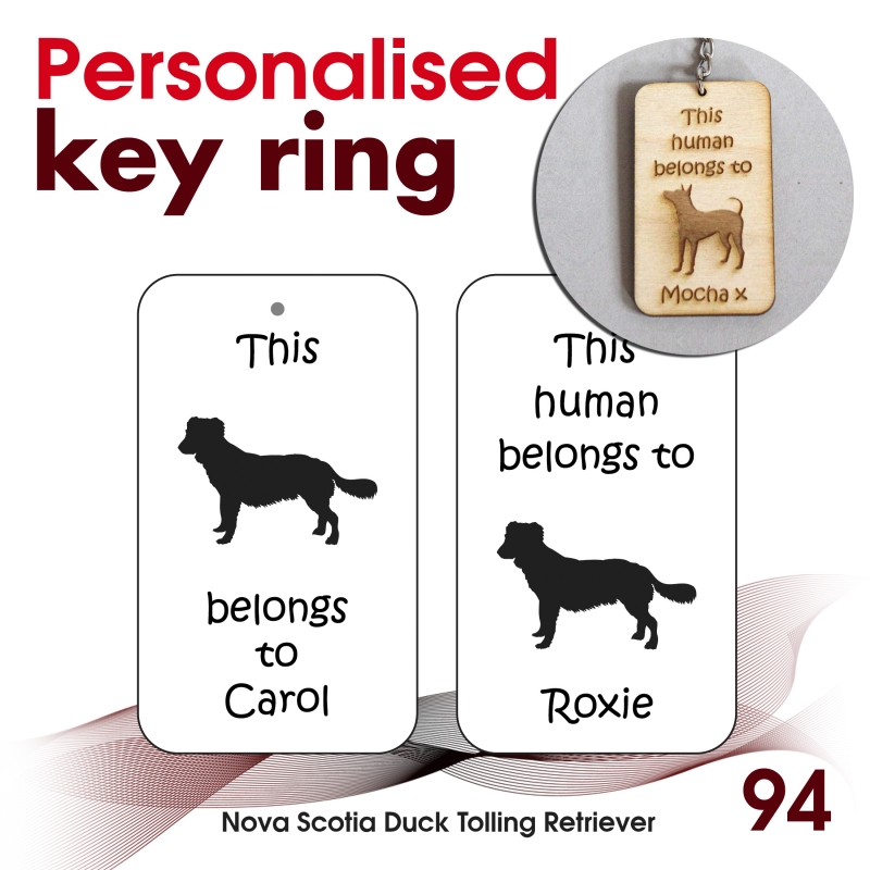 094 - Nova Scotia Duck Tolling Retriever