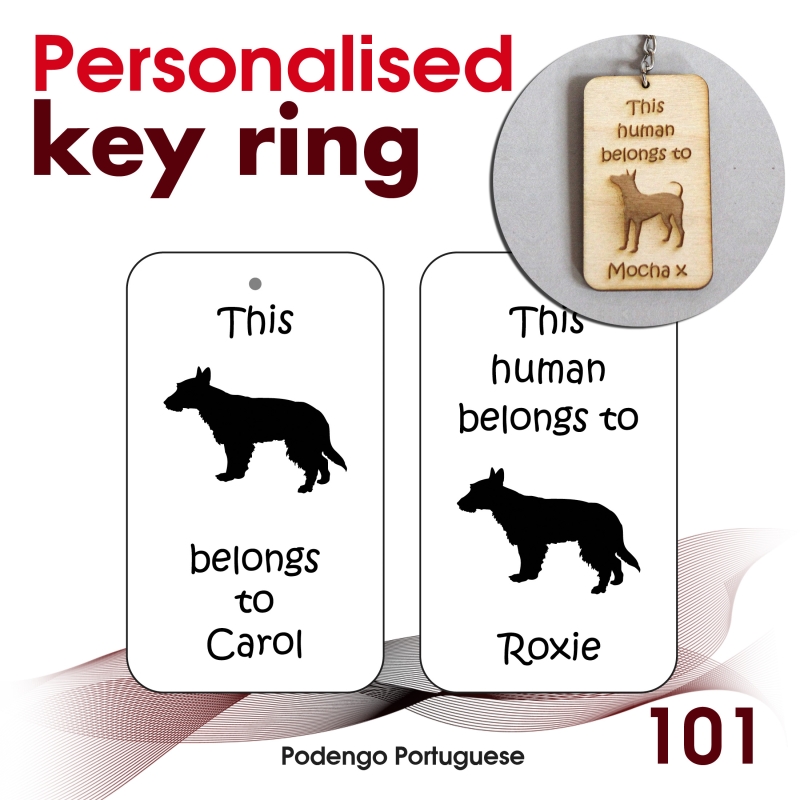 101 - Podengo Portuguese