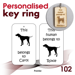 102 - Pointer