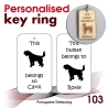 103 - Portuguese Sheepdog
