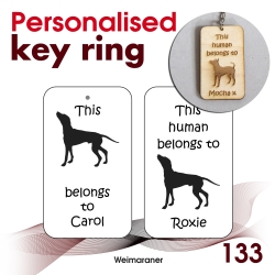 133 - Weimaraner