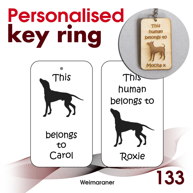 133 - Weimaraner