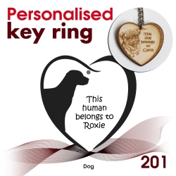 201 - Dog