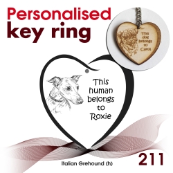 211 - Italian Grehound (h)