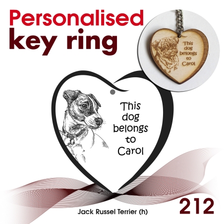 212 - Jack Russel Terrier (h)